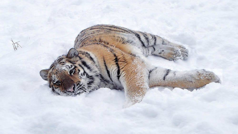  © Пресс-служба акимата Алматы 