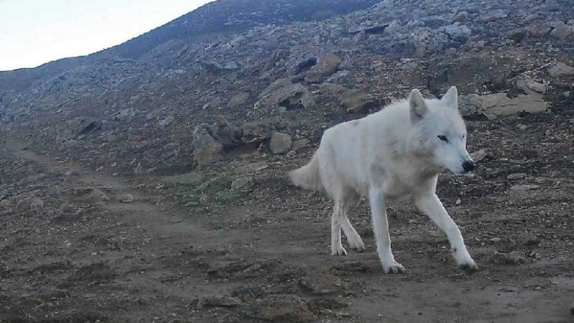  МО табиғи ресурстар және табиғат пайдалануды реттеу басқармасы 