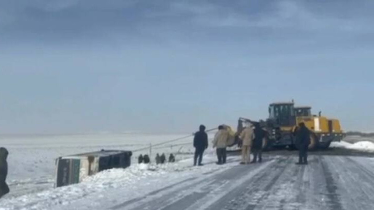  Видеодан кадр 