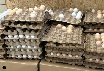 Маңғыстау облысындағы жұмыртқа бағасына мониторинг жүргізілді