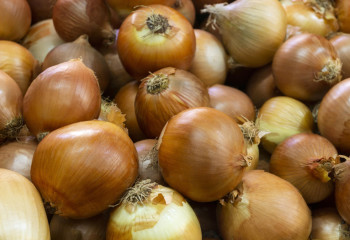 Проблему с реализацией лука озвучили аграрии Алматинской области