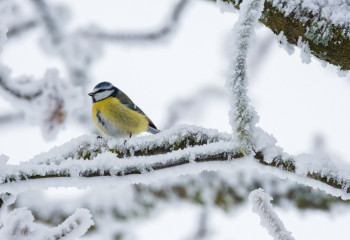 Қазақстанда аяз күшейеді