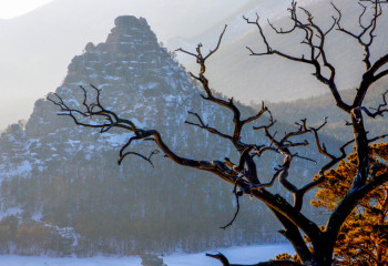 Биыл Бурабайдағы демалыс тағы да қымбаттай түсті