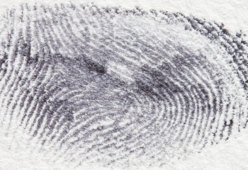 Жыл басынан бері 8 мыңға жуық шетелдік дактилоскопиялық тіркеуден өтті