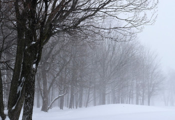 Көктайғақ, тұман, жел: 16 қаңтарға арналған ауа райы болжамы