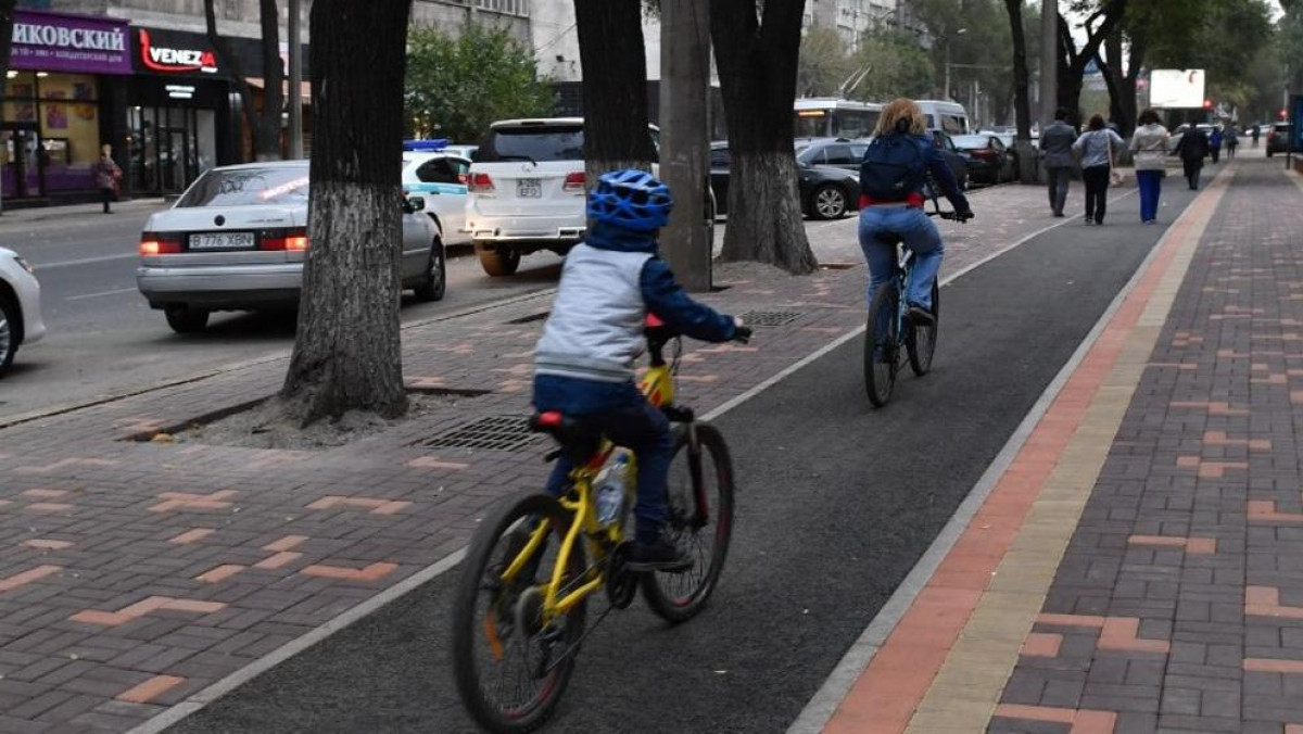 В Алматы планируют развивать велоинфраструктуру: в текущем году разработают проекты для 20 км дорожек