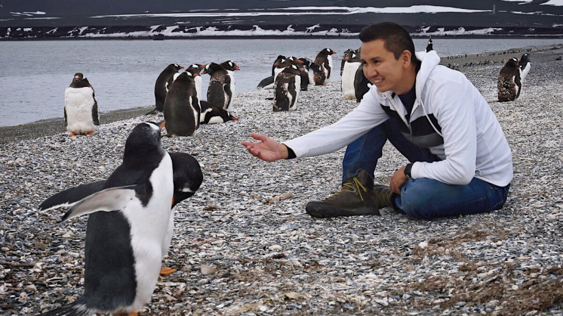  Данат Алиев/dzen.ru 