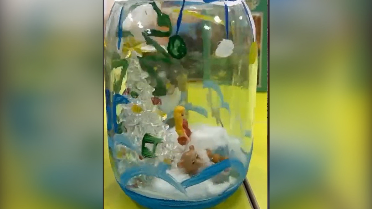  Кадр из видео 