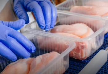 Как Казахстан увеличивает производство пищевого яйца и мяса птицы