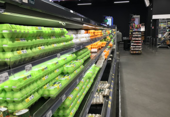 Қазақстан тағамдық жұмыртқа мен құс етін өндіруді қалай ұлғайтады?