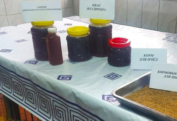 Сироп, квас, корм и добавки создаются в талдыкорганском цехе всего из одного продукта