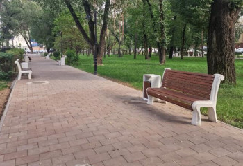 Сколько выделено денег на Бюджет народного участия в Алматы