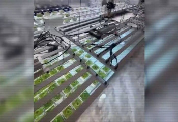 Алматы облысында үш есірткі зертханасы жойылды