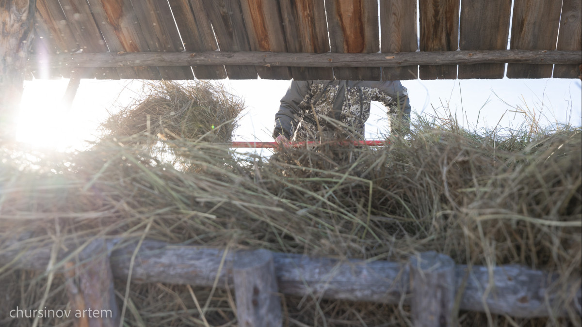  ©El.kz/Артем ЧУРСИНОВ 