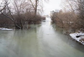 Ертісте су деңгейі күрт көтеріліп, адамдар эвакуацияланды