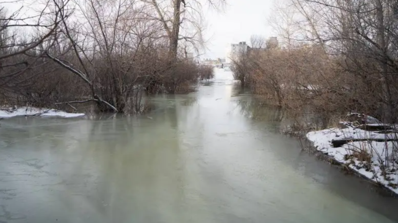  Абай облысы әкімдігі 