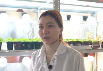 ЕҰУ ғалымдары өсімдіктерді вирустан қорғау үшін жаңа әдісті қолданады