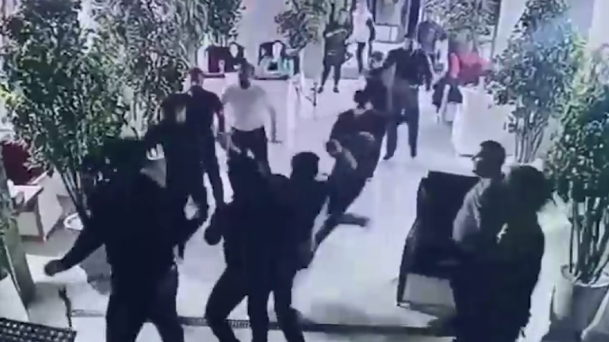  Видеодан кадр 