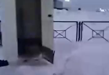 Алматыда ер адам дәретханаға құлап кетті