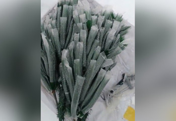 Две машины новых искусственных елок кто-то выбросил в районе БАКа в Алматы