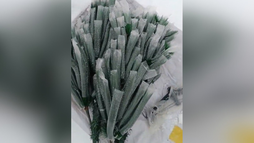  Кадр из видео 