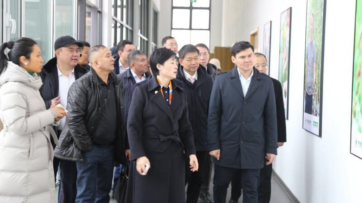 Казахстан и Китай расширяют сотрудничество в научной сфере