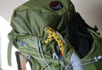 Готовимся к непредвиденному: что нужно собрать в тревожный рюкзак в Алматы