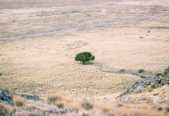 Атырау облысында мемлекетке 3 жер учаскесі қайтарылды