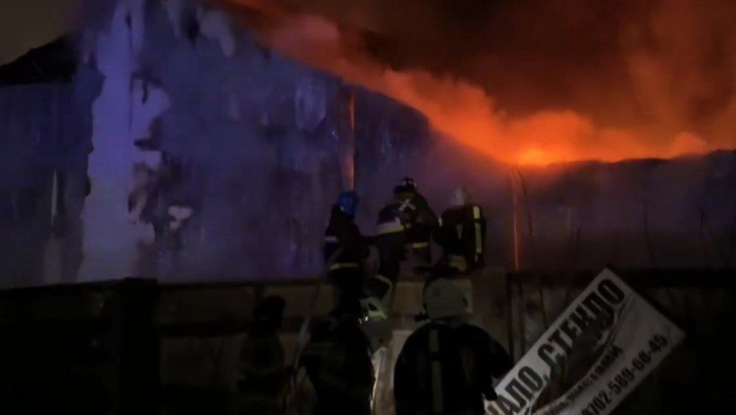  Видеодан кадр 