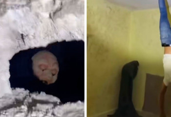 Арабский охотник за джиннами вновь запечатлел существо