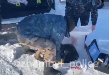 Пастух застрелил краснокнижного джейрана, чтобы 