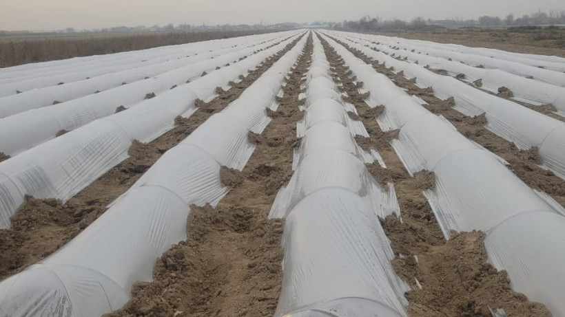  Келес ауданы әкімдігі 