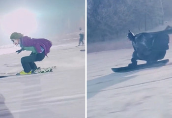 Бэтмен гнался за Джокером по склону Шымбулака - алматинский экшн впечатлил пользователей соцсетей