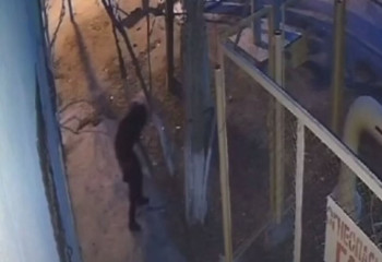 Мужчина нагадил под окнами многоэтажки в Кызылорде