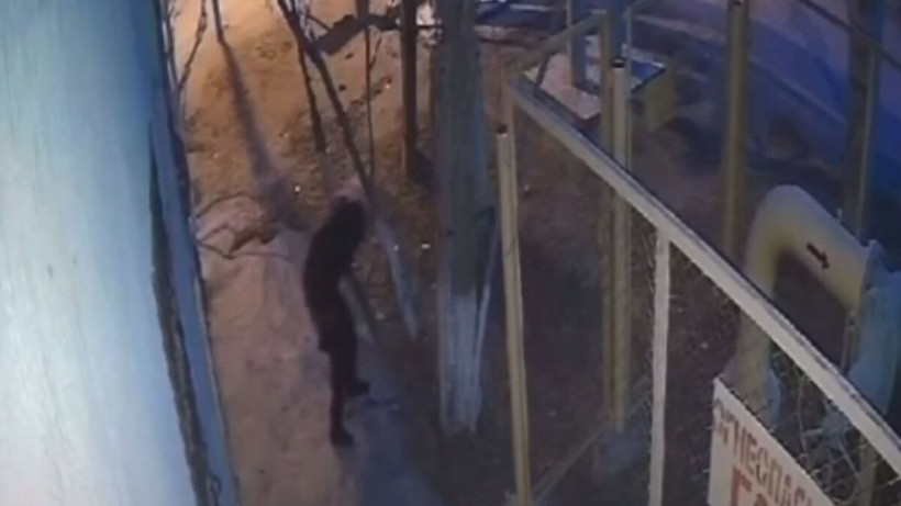  Скриншот видео 