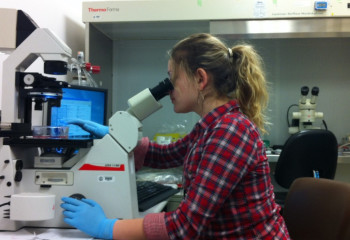 Старость - в радость: новые методы восстановления костей изучают в NU