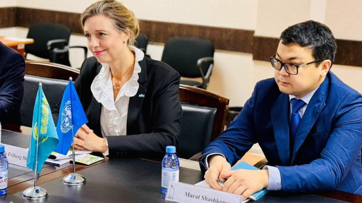 Вице-министр транспорта встретился с постоянным координатором ООН в Республике Казахстан
