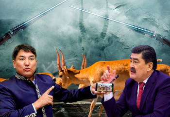 Буаз киікті ату бизнес көзі ме? Сарапшылар жауап берді