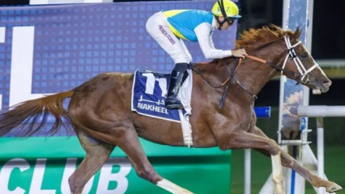 Конь из Казахстана вновь примет участие в скачках в Дубае