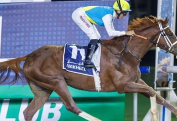 Конь из Казахстана вновь примет участие в скачках в Дубае