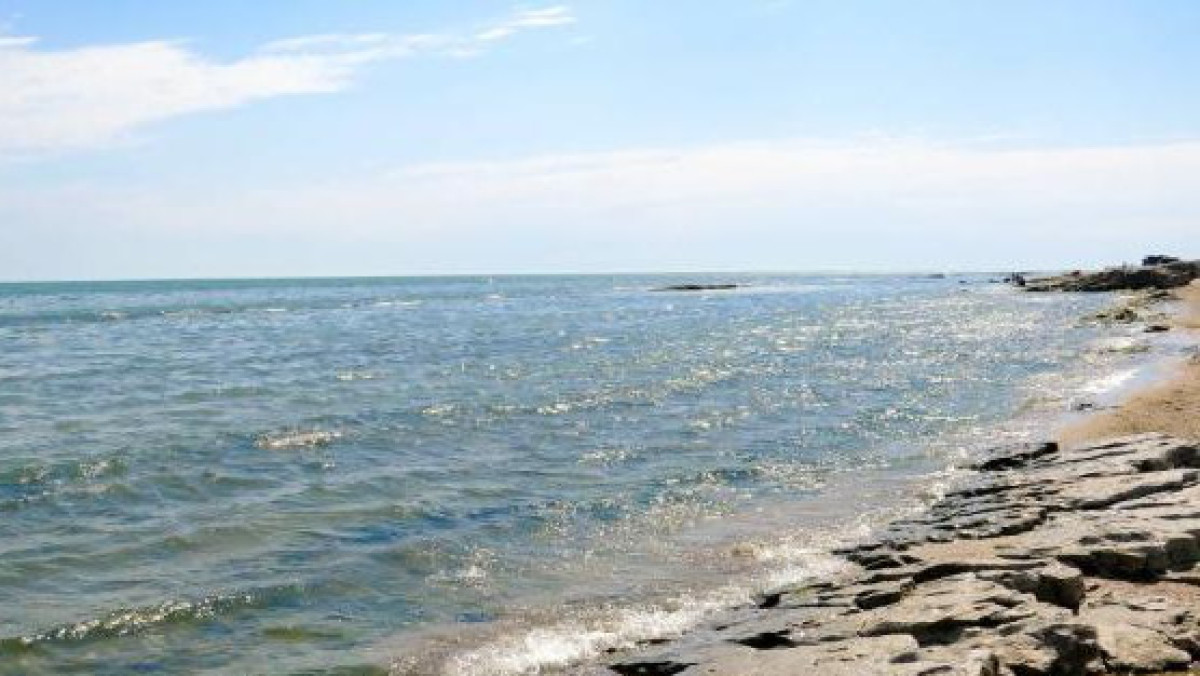 Үкімет Каспий теңізінің ғылыми-зерттеу институтын құру туралы қаулыны бекітті