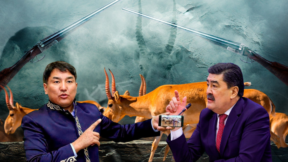  Коллаж El.kz 