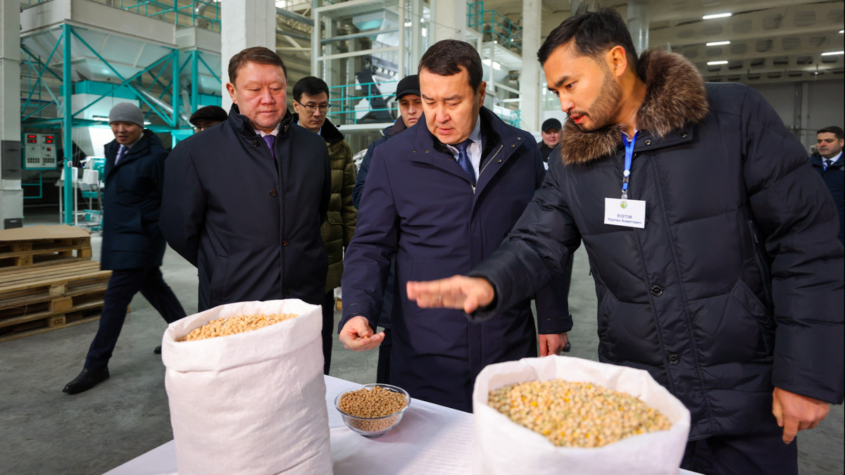 primeminister.kz 