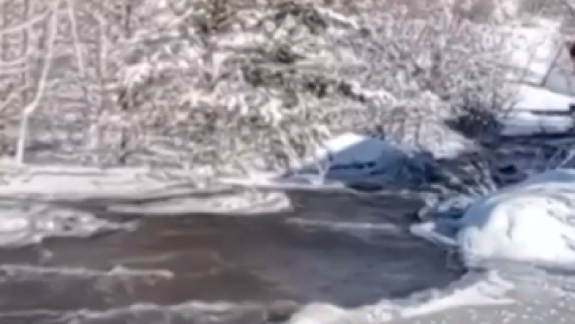  Видеодан кадр 