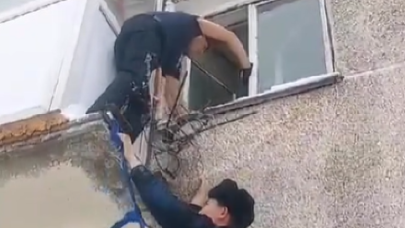  Видеодан кадр 