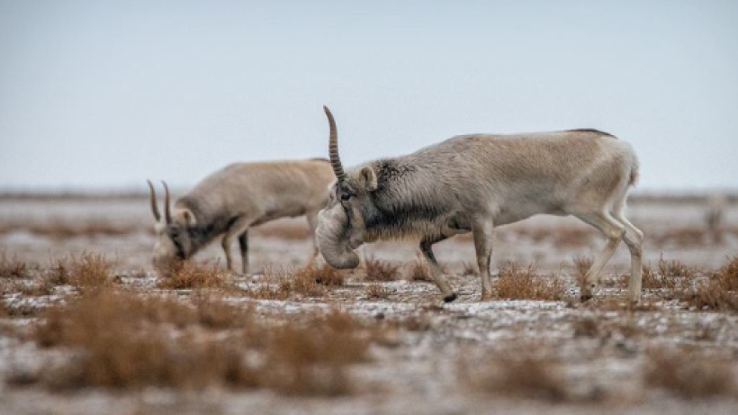  instagram.com/qazfwc 