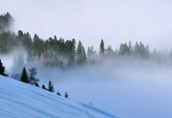 Көктайғақ, тұман: 29 қаңтарға арналған ауа райы болжамы