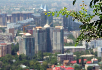 222 земельных участка изъяли в Алматы для госнужд