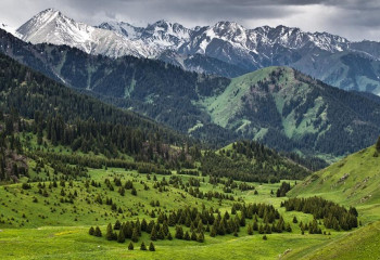 Алматы облысында 54 мың гектар жер бос жатқан