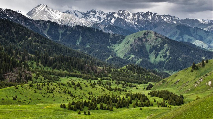  Алматы облысы прокуратурасы 